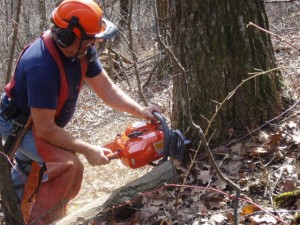  January deer habitat projects