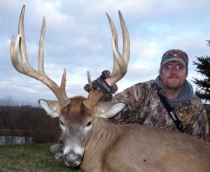 deer food plots