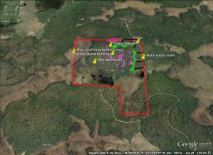 deer property layoutfood plots whitetail