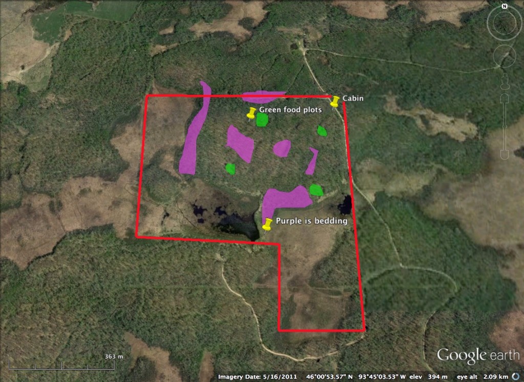 food plots for deer