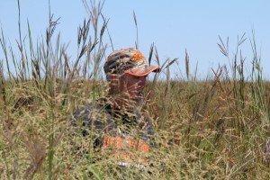 Don higgins warm season grasses