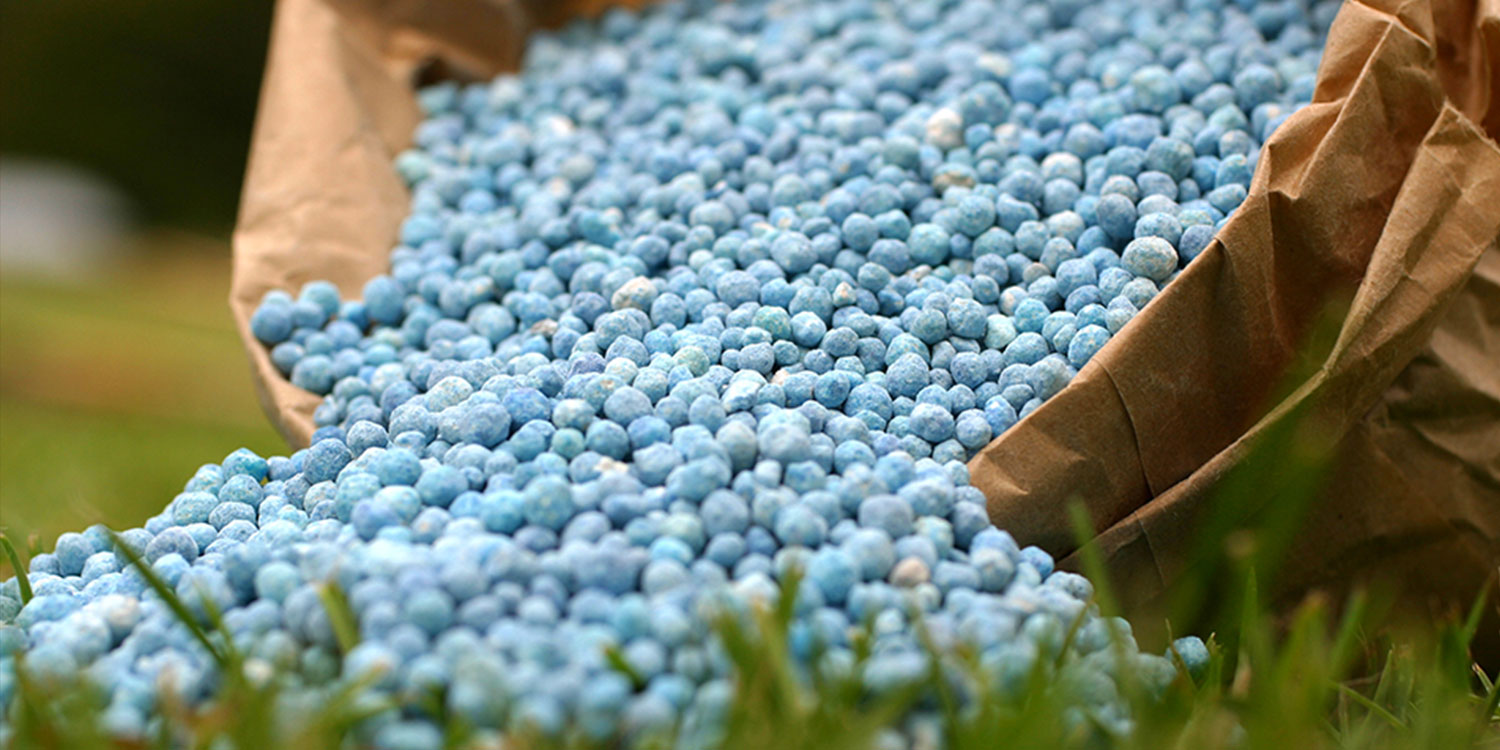 blue-fertilizer-434503295