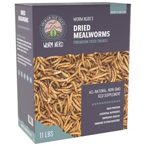 Mealworms in Monticello